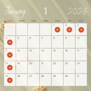 12月の店内ディスプレイと冬のジュエリーを写した写真|浦和の宝石店シプレ ドオール