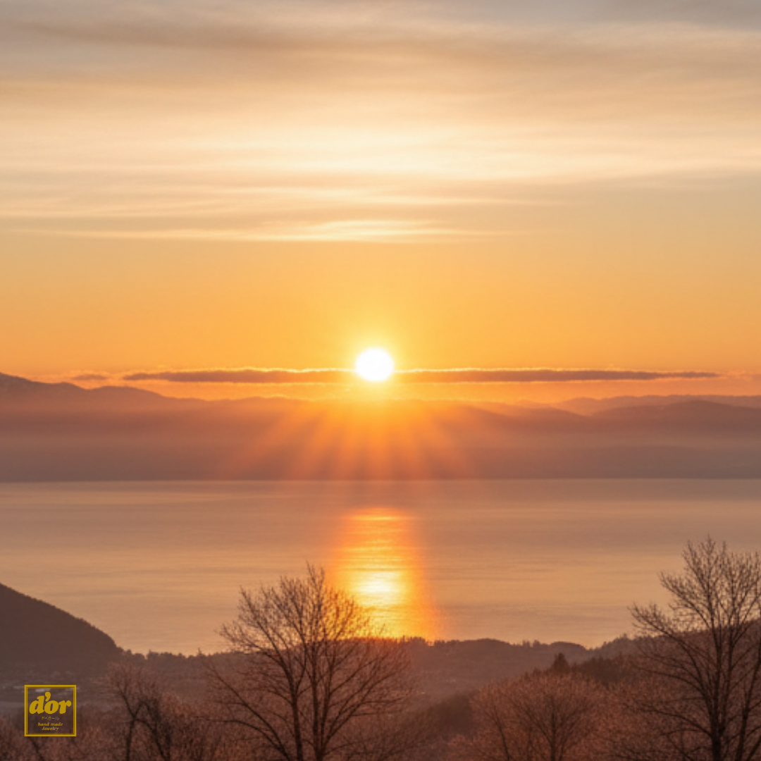 2026年 謹賀新年 初日の出 丙午 シプレドオール 浦和